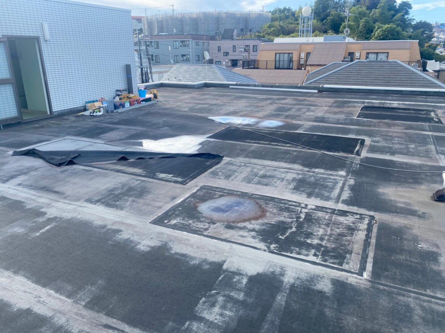 LINE_ALBUM_211218_31